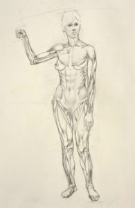 life drawing, figure drawing, anatomy study