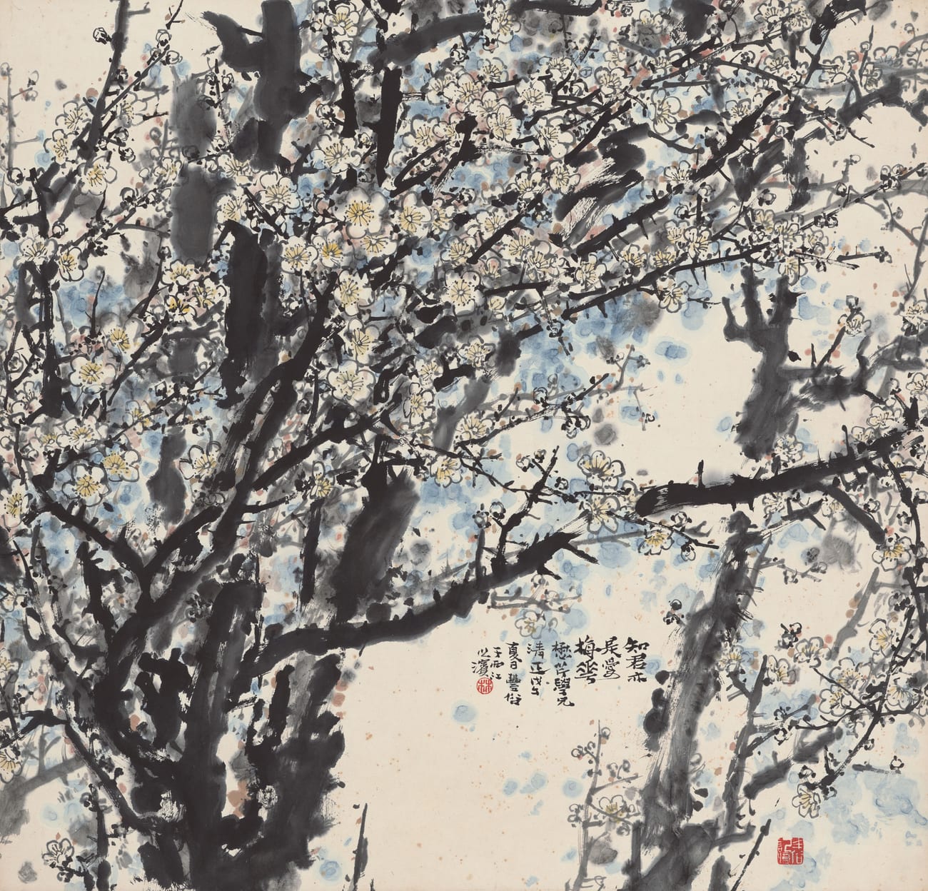 White plum blossoms in ink and wash by Lin Fengsu, pale blossoms on dark branches