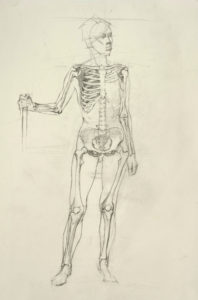 life drawing, figure drawing, anatomy study