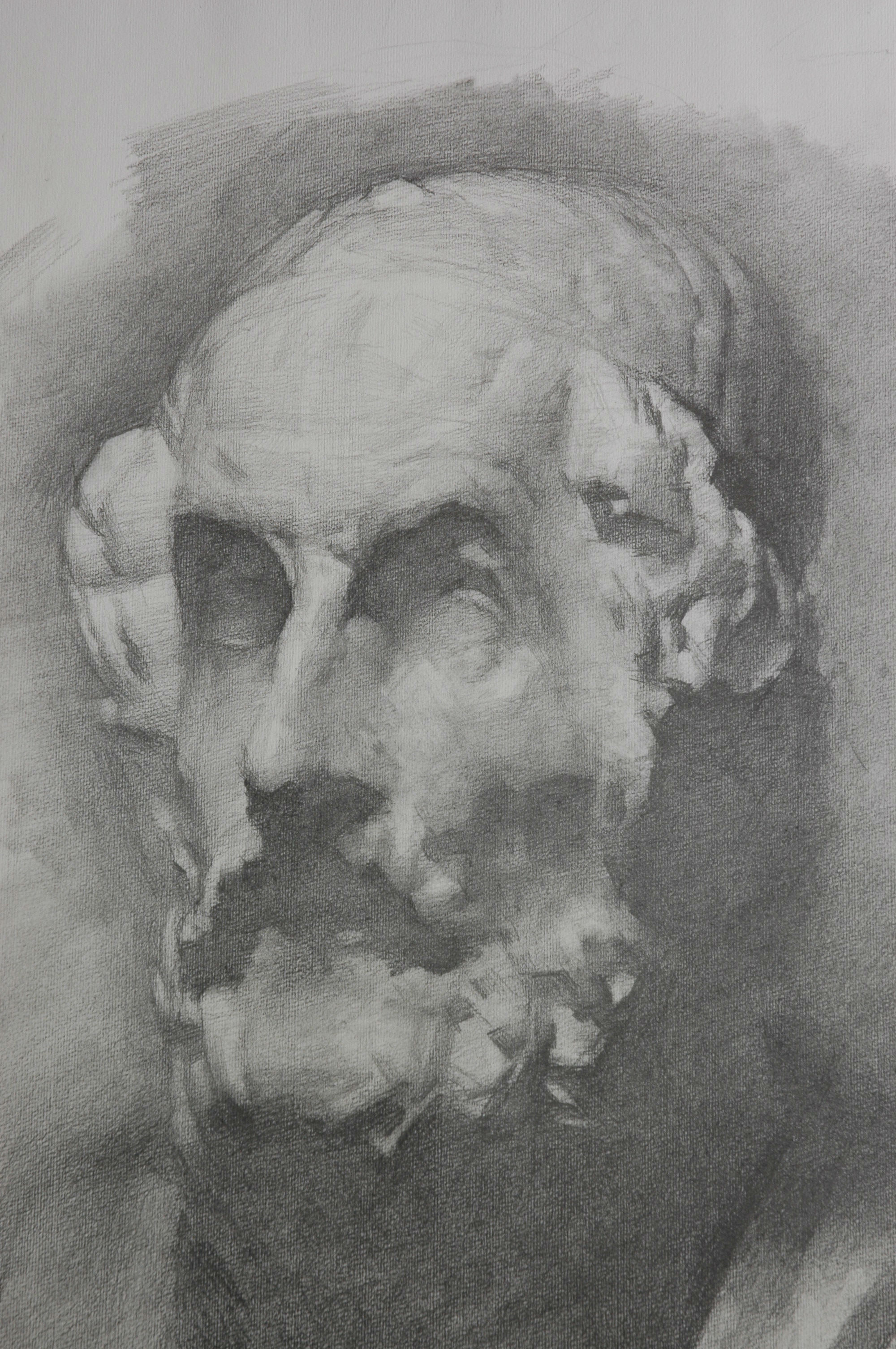 cast drawing, classical bust study, drawing training